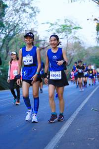 BIB: 46316, 430, 43045
                            <button type="button" onclick="openModal(12136310)" class="btn btn-primary btn-sm float-right btn-popup" data-toggle="modal" data-target=".modal-high-quality">
                        <i class="fas fa-shopping-cart"></i> Add to Cart
                    </button>
                                            <button type="button" onclick="isThisMe(12136310, true)" class="btn btn-success btn-sm float-right btn-popup btn-isme hidden" data-toggle="tooltip" data-placement="bottom" title="นี่คือรูปของคุณใช่ไหม คลิกที่นี่เพื่อเอาเข้าอัลบั้ม">
                        <i class="fas fa-plus"></i> Add to album
                    </button>
                    <button type="button" onclick="isThisMe(12136310, false)" class="btn btn-warning btn-sm float-right btn-popup btn-isnotme hidden">
                        <i class="fas fa-ban"></i> Remove from album
                    </button>