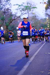BIB: 43377
                            <button type="button" onclick="openModal(11295425)" class="btn btn-primary btn-sm float-right btn-popup" data-toggle="modal" data-target=".modal-high-quality">
                        <i class="fas fa-shopping-cart"></i> Add to Cart
                    </button>
                                            <button type="button" onclick="isThisMe(11295425, true)" class="btn btn-success btn-sm float-right btn-popup btn-isme hidden" data-toggle="tooltip" data-placement="bottom" title="นี่คือรูปของคุณใช่ไหม คลิกที่นี่เพื่อเอาเข้าอัลบั้ม">
                        <i class="fas fa-plus"></i> Add to album
                    </button>
                    <button type="button" onclick="isThisMe(11295425, false)" class="btn btn-warning btn-sm float-right btn-popup btn-isnotme hidden">
                        <i class="fas fa-ban"></i> Remove from album
                    </button>
