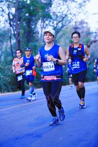 BIB: 42256, 43634
                            <button type="button" onclick="openModal(11340722)" class="btn btn-primary btn-sm float-right btn-popup" data-toggle="modal" data-target=".modal-high-quality">
                        <i class="fas fa-shopping-cart"></i> Add to Cart
                    </button>
                                            <button type="button" onclick="isThisMe(11340722, true)" class="btn btn-success btn-sm float-right btn-popup btn-isme hidden" data-toggle="tooltip" data-placement="bottom" title="นี่คือรูปของคุณใช่ไหม คลิกที่นี่เพื่อเอาเข้าอัลบั้ม">
                        <i class="fas fa-plus"></i> Add to album
                    </button>
                    <button type="button" onclick="isThisMe(11340722, false)" class="btn btn-warning btn-sm float-right btn-popup btn-isnotme hidden">
                        <i class="fas fa-ban"></i> Remove from album
                    </button>