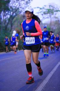 BIB: 43377
                            <button type="button" onclick="openModal(11295760)" class="btn btn-primary btn-sm float-right btn-popup" data-toggle="modal" data-target=".modal-high-quality">
                        <i class="fas fa-shopping-cart"></i> Add to Cart
                    </button>
                                            <button type="button" onclick="isThisMe(11295760, true)" class="btn btn-success btn-sm float-right btn-popup btn-isme hidden" data-toggle="tooltip" data-placement="bottom" title="นี่คือรูปของคุณใช่ไหม คลิกที่นี่เพื่อเอาเข้าอัลบั้ม">
                        <i class="fas fa-plus"></i> Add to album
                    </button>
                    <button type="button" onclick="isThisMe(11295760, false)" class="btn btn-warning btn-sm float-right btn-popup btn-isnotme hidden">
                        <i class="fas fa-ban"></i> Remove from album
                    </button>