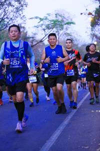 BIB: 4257, 45754, 42295, 46065
                            <button type="button" onclick="openModal(11319605)" class="btn btn-primary btn-sm float-right btn-popup" data-toggle="modal" data-target=".modal-high-quality">
                        <i class="fas fa-shopping-cart"></i> Add to Cart
                    </button>
                                            <button type="button" onclick="isThisMe(11319605, true)" class="btn btn-success btn-sm float-right btn-popup btn-isme hidden" data-toggle="tooltip" data-placement="bottom" title="นี่คือรูปของคุณใช่ไหม คลิกที่นี่เพื่อเอาเข้าอัลบั้ม">
                        <i class="fas fa-plus"></i> Add to album
                    </button>
                    <button type="button" onclick="isThisMe(11319605, false)" class="btn btn-warning btn-sm float-right btn-popup btn-isnotme hidden">
                        <i class="fas fa-ban"></i> Remove from album
                    </button>