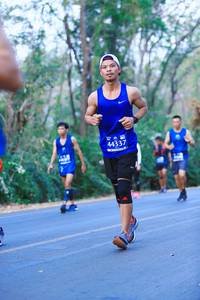 BIB: 44337
                            <button type="button" onclick="openModal(12140300)" class="btn btn-primary btn-sm float-right btn-popup" data-toggle="modal" data-target=".modal-high-quality">
                        <i class="fas fa-shopping-cart"></i> Add to Cart
                    </button>
                                            <button type="button" onclick="isThisMe(12140300, true)" class="btn btn-success btn-sm float-right btn-popup btn-isme hidden" data-toggle="tooltip" data-placement="bottom" title="นี่คือรูปของคุณใช่ไหม คลิกที่นี่เพื่อเอาเข้าอัลบั้ม">
                        <i class="fas fa-plus"></i> Add to album
                    </button>
                    <button type="button" onclick="isThisMe(12140300, false)" class="btn btn-warning btn-sm float-right btn-popup btn-isnotme hidden">
                        <i class="fas fa-ban"></i> Remove from album
                    </button>