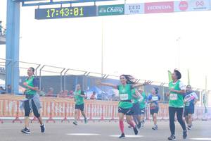 BIB: 174301, 52611, 52715
                            <button type="button" onclick="openModal(10538481)" class="btn btn-primary btn-sm float-right btn-popup" data-toggle="modal" data-target=".modal-high-quality">
                        <i class="fas fa-shopping-cart"></i> Add to Cart
                    </button>
                                            <button type="button" onclick="isThisMe(10538481, true)" class="btn btn-success btn-sm float-right btn-popup btn-isme hidden" data-toggle="tooltip" data-placement="bottom" title="นี่คือรูปของคุณใช่ไหม คลิกที่นี่เพื่อเอาเข้าอัลบั้ม">
                        <i class="fas fa-plus"></i> Add to album
                    </button>
                    <button type="button" onclick="isThisMe(10538481, false)" class="btn btn-warning btn-sm float-right btn-popup btn-isnotme hidden">
                        <i class="fas fa-ban"></i> Remove from album
                    </button>