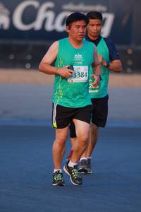 BIB: 33384
                            <button type="button" onclick="openModal(10494933)" class="btn btn-primary btn-sm float-right btn-popup" data-toggle="modal" data-target=".modal-high-quality">
                        <i class="fas fa-shopping-cart"></i> Add to Cart
                    </button>
                                            <button type="button" onclick="isThisMe(10494933, true)" class="btn btn-success btn-sm float-right btn-popup btn-isme hidden" data-toggle="tooltip" data-placement="bottom" title="นี่คือรูปของคุณใช่ไหม คลิกที่นี่เพื่อเอาเข้าอัลบั้ม">
                        <i class="fas fa-plus"></i> Add to album
                    </button>
                    <button type="button" onclick="isThisMe(10494933, false)" class="btn btn-warning btn-sm float-right btn-popup btn-isnotme hidden">
                        <i class="fas fa-ban"></i> Remove from album
                    </button>