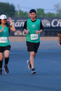 BIB: 50845, 50510
                            <button type="button" onclick="openModal(10505596)" class="btn btn-primary btn-sm float-right btn-popup" data-toggle="modal" data-target=".modal-high-quality">
                        <i class="fas fa-shopping-cart"></i> Add to Cart
                    </button>
                                            <button type="button" onclick="isThisMe(10505596, true)" class="btn btn-success btn-sm float-right btn-popup btn-isme hidden" data-toggle="tooltip" data-placement="bottom" title="นี่คือรูปของคุณใช่ไหม คลิกที่นี่เพื่อเอาเข้าอัลบั้ม">
                        <i class="fas fa-plus"></i> Add to album
                    </button>
                    <button type="button" onclick="isThisMe(10505596, false)" class="btn btn-warning btn-sm float-right btn-popup btn-isnotme hidden">
                        <i class="fas fa-ban"></i> Remove from album
                    </button>