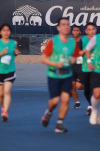 BIB: 
                            <button type="button" onclick="openModal(10494052)" class="btn btn-primary btn-sm float-right btn-popup" data-toggle="modal" data-target=".modal-high-quality">
                        <i class="fas fa-shopping-cart"></i> Add to Cart
                    </button>
                                            <button type="button" onclick="isThisMe(10494052, true)" class="btn btn-success btn-sm float-right btn-popup btn-isme hidden" data-toggle="tooltip" data-placement="bottom" title="นี่คือรูปของคุณใช่ไหม คลิกที่นี่เพื่อเอาเข้าอัลบั้ม">
                        <i class="fas fa-plus"></i> Add to album
                    </button>
                    <button type="button" onclick="isThisMe(10494052, false)" class="btn btn-warning btn-sm float-right btn-popup btn-isnotme hidden">
                        <i class="fas fa-ban"></i> Remove from album
                    </button>