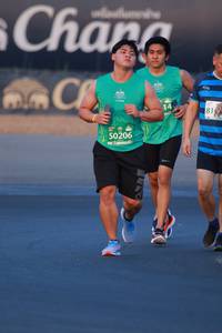 BIB: 50206
                            <button type="button" onclick="openModal(10494846)" class="btn btn-primary btn-sm float-right btn-popup" data-toggle="modal" data-target=".modal-high-quality">
                        <i class="fas fa-shopping-cart"></i> Add to Cart
                    </button>
                                            <button type="button" onclick="isThisMe(10494846, true)" class="btn btn-success btn-sm float-right btn-popup btn-isme hidden" data-toggle="tooltip" data-placement="bottom" title="นี่คือรูปของคุณใช่ไหม คลิกที่นี่เพื่อเอาเข้าอัลบั้ม">
                        <i class="fas fa-plus"></i> Add to album
                    </button>
                    <button type="button" onclick="isThisMe(10494846, false)" class="btn btn-warning btn-sm float-right btn-popup btn-isnotme hidden">
                        <i class="fas fa-ban"></i> Remove from album
                    </button>