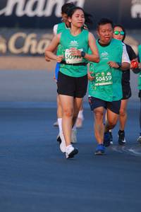 BIB: 5091, 50459
                            <button type="button" onclick="openModal(10493904)" class="btn btn-primary btn-sm float-right btn-popup" data-toggle="modal" data-target=".modal-high-quality">
                        <i class="fas fa-shopping-cart"></i> Add to Cart
                    </button>
                                            <button type="button" onclick="isThisMe(10493904, true)" class="btn btn-success btn-sm float-right btn-popup btn-isme hidden" data-toggle="tooltip" data-placement="bottom" title="นี่คือรูปของคุณใช่ไหม คลิกที่นี่เพื่อเอาเข้าอัลบั้ม">
                        <i class="fas fa-plus"></i> Add to album
                    </button>
                    <button type="button" onclick="isThisMe(10493904, false)" class="btn btn-warning btn-sm float-right btn-popup btn-isnotme hidden">
                        <i class="fas fa-ban"></i> Remove from album
                    </button>