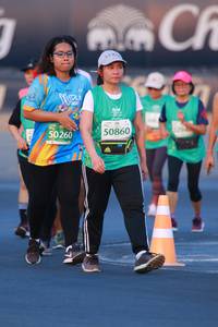 BIB: 50860, 50260
                            <button type="button" onclick="openModal(10499376)" class="btn btn-primary btn-sm float-right btn-popup" data-toggle="modal" data-target=".modal-high-quality">
                        <i class="fas fa-shopping-cart"></i> Add to Cart
                    </button>
                                            <button type="button" onclick="isThisMe(10499376, true)" class="btn btn-success btn-sm float-right btn-popup btn-isme hidden" data-toggle="tooltip" data-placement="bottom" title="นี่คือรูปของคุณใช่ไหม คลิกที่นี่เพื่อเอาเข้าอัลบั้ม">
                        <i class="fas fa-plus"></i> Add to album
                    </button>
                    <button type="button" onclick="isThisMe(10499376, false)" class="btn btn-warning btn-sm float-right btn-popup btn-isnotme hidden">
                        <i class="fas fa-ban"></i> Remove from album
                    </button>