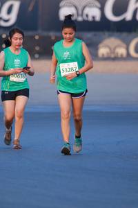 BIB: 53287, 50636
                            <button type="button" onclick="openModal(10496077)" class="btn btn-primary btn-sm float-right btn-popup" data-toggle="modal" data-target=".modal-high-quality">
                        <i class="fas fa-shopping-cart"></i> Add to Cart
                    </button>
                                            <button type="button" onclick="isThisMe(10496077, true)" class="btn btn-success btn-sm float-right btn-popup btn-isme hidden" data-toggle="tooltip" data-placement="bottom" title="นี่คือรูปของคุณใช่ไหม คลิกที่นี่เพื่อเอาเข้าอัลบั้ม">
                        <i class="fas fa-plus"></i> Add to album
                    </button>
                    <button type="button" onclick="isThisMe(10496077, false)" class="btn btn-warning btn-sm float-right btn-popup btn-isnotme hidden">
                        <i class="fas fa-ban"></i> Remove from album
                    </button>