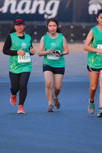 BIB: 506, 51029
                            <button type="button" onclick="openModal(10496089)" class="btn btn-primary btn-sm float-right btn-popup" data-toggle="modal" data-target=".modal-high-quality">
                        <i class="fas fa-shopping-cart"></i> Add to Cart
                    </button>
                                            <button type="button" onclick="isThisMe(10496089, true)" class="btn btn-success btn-sm float-right btn-popup btn-isme hidden" data-toggle="tooltip" data-placement="bottom" title="นี่คือรูปของคุณใช่ไหม คลิกที่นี่เพื่อเอาเข้าอัลบั้ม">
                        <i class="fas fa-plus"></i> Add to album
                    </button>
                    <button type="button" onclick="isThisMe(10496089, false)" class="btn btn-warning btn-sm float-right btn-popup btn-isnotme hidden">
                        <i class="fas fa-ban"></i> Remove from album
                    </button>