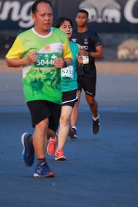 BIB: 50440, 523
                            <button type="button" onclick="openModal(10494060)" class="btn btn-primary btn-sm float-right btn-popup" data-toggle="modal" data-target=".modal-high-quality">
                        <i class="fas fa-shopping-cart"></i> Add to Cart
                    </button>
                                            <button type="button" onclick="isThisMe(10494060, true)" class="btn btn-success btn-sm float-right btn-popup btn-isme hidden" data-toggle="tooltip" data-placement="bottom" title="นี่คือรูปของคุณใช่ไหม คลิกที่นี่เพื่อเอาเข้าอัลบั้ม">
                        <i class="fas fa-plus"></i> Add to album
                    </button>
                    <button type="button" onclick="isThisMe(10494060, false)" class="btn btn-warning btn-sm float-right btn-popup btn-isnotme hidden">
                        <i class="fas fa-ban"></i> Remove from album
                    </button>