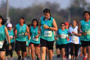 BIB: 729, 52887, 500
                            <button type="button" onclick="openModal(10476573)" class="btn btn-primary btn-sm float-right btn-popup" data-toggle="modal" data-target=".modal-high-quality">
                        <i class="fas fa-shopping-cart"></i> Add to Cart
                    </button>
                                            <button type="button" onclick="isThisMe(10476573, true)" class="btn btn-success btn-sm float-right btn-popup btn-isme hidden" data-toggle="tooltip" data-placement="bottom" title="นี่คือรูปของคุณใช่ไหม คลิกที่นี่เพื่อเอาเข้าอัลบั้ม">
                        <i class="fas fa-plus"></i> Add to album
                    </button>
                    <button type="button" onclick="isThisMe(10476573, false)" class="btn btn-warning btn-sm float-right btn-popup btn-isnotme hidden">
                        <i class="fas fa-ban"></i> Remove from album
                    </button>