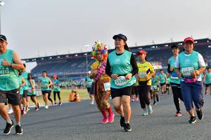 BIB: 0315, 53260, 528, 50949
                            <button type="button" onclick="openModal(10558575)" class="btn btn-primary btn-sm float-right btn-popup" data-toggle="modal" data-target=".modal-high-quality">
                        <i class="fas fa-shopping-cart"></i> Add to Cart
                    </button>
                                            <button type="button" onclick="isThisMe(10558575, true)" class="btn btn-success btn-sm float-right btn-popup btn-isme hidden" data-toggle="tooltip" data-placement="bottom" title="นี่คือรูปของคุณใช่ไหม คลิกที่นี่เพื่อเอาเข้าอัลบั้ม">
                        <i class="fas fa-plus"></i> Add to album
                    </button>
                    <button type="button" onclick="isThisMe(10558575, false)" class="btn btn-warning btn-sm float-right btn-popup btn-isnotme hidden">
                        <i class="fas fa-ban"></i> Remove from album
                    </button>