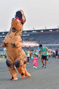 BIB: 
                            <button type="button" onclick="openModal(10564379)" class="btn btn-primary btn-sm float-right btn-popup" data-toggle="modal" data-target=".modal-high-quality">
                        <i class="fas fa-shopping-cart"></i> Add to Cart
                    </button>
                                            <button type="button" onclick="isThisMe(10564379, true)" class="btn btn-success btn-sm float-right btn-popup btn-isme hidden" data-toggle="tooltip" data-placement="bottom" title="นี่คือรูปของคุณใช่ไหม คลิกที่นี่เพื่อเอาเข้าอัลบั้ม">
                        <i class="fas fa-plus"></i> Add to album
                    </button>
                    <button type="button" onclick="isThisMe(10564379, false)" class="btn btn-warning btn-sm float-right btn-popup btn-isnotme hidden">
                        <i class="fas fa-ban"></i> Remove from album
                    </button>