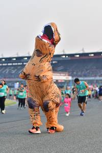 BIB: 
                            <button type="button" onclick="openModal(10564382)" class="btn btn-primary btn-sm float-right btn-popup" data-toggle="modal" data-target=".modal-high-quality">
                        <i class="fas fa-shopping-cart"></i> Add to Cart
                    </button>
                                            <button type="button" onclick="isThisMe(10564382, true)" class="btn btn-success btn-sm float-right btn-popup btn-isme hidden" data-toggle="tooltip" data-placement="bottom" title="นี่คือรูปของคุณใช่ไหม คลิกที่นี่เพื่อเอาเข้าอัลบั้ม">
                        <i class="fas fa-plus"></i> Add to album
                    </button>
                    <button type="button" onclick="isThisMe(10564382, false)" class="btn btn-warning btn-sm float-right btn-popup btn-isnotme hidden">
                        <i class="fas fa-ban"></i> Remove from album
                    </button>