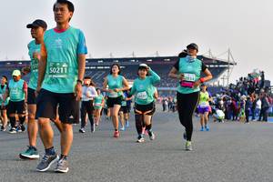 BIB: 519, 50211, 2834, 126
                            <button type="button" onclick="openModal(10552726)" class="btn btn-primary btn-sm float-right btn-popup" data-toggle="modal" data-target=".modal-high-quality">
                        <i class="fas fa-shopping-cart"></i> Add to Cart
                    </button>
                                            <button type="button" onclick="isThisMe(10552726, true)" class="btn btn-success btn-sm float-right btn-popup btn-isme hidden" data-toggle="tooltip" data-placement="bottom" title="นี่คือรูปของคุณใช่ไหม คลิกที่นี่เพื่อเอาเข้าอัลบั้ม">
                        <i class="fas fa-plus"></i> Add to album
                    </button>
                    <button type="button" onclick="isThisMe(10552726, false)" class="btn btn-warning btn-sm float-right btn-popup btn-isnotme hidden">
                        <i class="fas fa-ban"></i> Remove from album
                    </button>