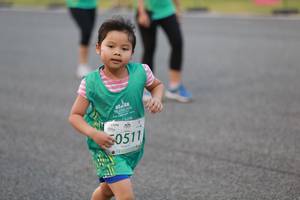 BIB: 0511
                            <button type="button" onclick="openModal(10570361)" class="btn btn-primary btn-sm float-right btn-popup" data-toggle="modal" data-target=".modal-high-quality">
                        <i class="fas fa-shopping-cart"></i> Add to Cart
                    </button>
                                            <button type="button" onclick="isThisMe(10570361, true)" class="btn btn-success btn-sm float-right btn-popup btn-isme hidden" data-toggle="tooltip" data-placement="bottom" title="นี่คือรูปของคุณใช่ไหม คลิกที่นี่เพื่อเอาเข้าอัลบั้ม">
                        <i class="fas fa-plus"></i> Add to album
                    </button>
                    <button type="button" onclick="isThisMe(10570361, false)" class="btn btn-warning btn-sm float-right btn-popup btn-isnotme hidden">
                        <i class="fas fa-ban"></i> Remove from album
                    </button>