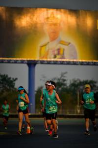 BIB: 015, 8334
                            <button type="button" onclick="openModal(10801015)" class="btn btn-primary btn-sm float-right btn-popup" data-toggle="modal" data-target=".modal-high-quality">
                        <i class="fas fa-shopping-cart"></i> Add to Cart
                    </button>
                                            <button type="button" onclick="isThisMe(10801015, true)" class="btn btn-success btn-sm float-right btn-popup btn-isme hidden" data-toggle="tooltip" data-placement="bottom" title="นี่คือรูปของคุณใช่ไหม คลิกที่นี่เพื่อเอาเข้าอัลบั้ม">
                        <i class="fas fa-plus"></i> Add to album
                    </button>
                    <button type="button" onclick="isThisMe(10801015, false)" class="btn btn-warning btn-sm float-right btn-popup btn-isnotme hidden">
                        <i class="fas fa-ban"></i> Remove from album
                    </button>