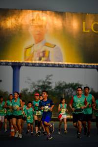 BIB: 5013, 1659
                            <button type="button" onclick="openModal(10799786)" class="btn btn-primary btn-sm float-right btn-popup" data-toggle="modal" data-target=".modal-high-quality">
                        <i class="fas fa-shopping-cart"></i> Add to Cart
                    </button>
                                            <button type="button" onclick="isThisMe(10799786, true)" class="btn btn-success btn-sm float-right btn-popup btn-isme hidden" data-toggle="tooltip" data-placement="bottom" title="นี่คือรูปของคุณใช่ไหม คลิกที่นี่เพื่อเอาเข้าอัลบั้ม">
                        <i class="fas fa-plus"></i> Add to album
                    </button>
                    <button type="button" onclick="isThisMe(10799786, false)" class="btn btn-warning btn-sm float-right btn-popup btn-isnotme hidden">
                        <i class="fas fa-ban"></i> Remove from album
                    </button>