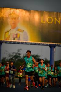 BIB: 70297, 1734
                            <button type="button" onclick="openModal(10803646)" class="btn btn-primary btn-sm float-right btn-popup" data-toggle="modal" data-target=".modal-high-quality">
                        <i class="fas fa-shopping-cart"></i> Add to Cart
                    </button>
                                            <button type="button" onclick="isThisMe(10803646, true)" class="btn btn-success btn-sm float-right btn-popup btn-isme hidden" data-toggle="tooltip" data-placement="bottom" title="นี่คือรูปของคุณใช่ไหม คลิกที่นี่เพื่อเอาเข้าอัลบั้ม">
                        <i class="fas fa-plus"></i> Add to album
                    </button>
                    <button type="button" onclick="isThisMe(10803646, false)" class="btn btn-warning btn-sm float-right btn-popup btn-isnotme hidden">
                        <i class="fas fa-ban"></i> Remove from album
                    </button>