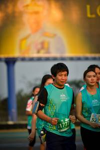 BIB: 522, 1777
                            <button type="button" onclick="openModal(10816301)" class="btn btn-primary btn-sm float-right btn-popup" data-toggle="modal" data-target=".modal-high-quality">
                        <i class="fas fa-shopping-cart"></i> Add to Cart
                    </button>
                                            <button type="button" onclick="isThisMe(10816301, true)" class="btn btn-success btn-sm float-right btn-popup btn-isme hidden" data-toggle="tooltip" data-placement="bottom" title="นี่คือรูปของคุณใช่ไหม คลิกที่นี่เพื่อเอาเข้าอัลบั้ม">
                        <i class="fas fa-plus"></i> Add to album
                    </button>
                    <button type="button" onclick="isThisMe(10816301, false)" class="btn btn-warning btn-sm float-right btn-popup btn-isnotme hidden">
                        <i class="fas fa-ban"></i> Remove from album
                    </button>