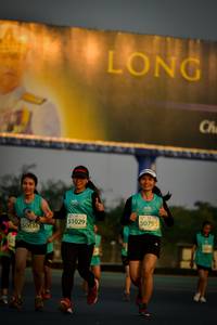 BIB: 50795, 51029, 50636, 152
                            <button type="button" onclick="openModal(10804045)" class="btn btn-primary btn-sm float-right btn-popup" data-toggle="modal" data-target=".modal-high-quality">
                        <i class="fas fa-shopping-cart"></i> Add to Cart
                    </button>
                                            <button type="button" onclick="isThisMe(10804045, true)" class="btn btn-success btn-sm float-right btn-popup btn-isme hidden" data-toggle="tooltip" data-placement="bottom" title="นี่คือรูปของคุณใช่ไหม คลิกที่นี่เพื่อเอาเข้าอัลบั้ม">
                        <i class="fas fa-plus"></i> Add to album
                    </button>
                    <button type="button" onclick="isThisMe(10804045, false)" class="btn btn-warning btn-sm float-right btn-popup btn-isnotme hidden">
                        <i class="fas fa-ban"></i> Remove from album
                    </button>