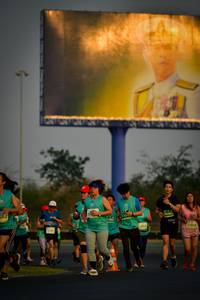 BIB: 510
                            <button type="button" onclick="openModal(10799520)" class="btn btn-primary btn-sm float-right btn-popup" data-toggle="modal" data-target=".modal-high-quality">
                        <i class="fas fa-shopping-cart"></i> Add to Cart
                    </button>
                                            <button type="button" onclick="isThisMe(10799520, true)" class="btn btn-success btn-sm float-right btn-popup btn-isme hidden" data-toggle="tooltip" data-placement="bottom" title="นี่คือรูปของคุณใช่ไหม คลิกที่นี่เพื่อเอาเข้าอัลบั้ม">
                        <i class="fas fa-plus"></i> Add to album
                    </button>
                    <button type="button" onclick="isThisMe(10799520, false)" class="btn btn-warning btn-sm float-right btn-popup btn-isnotme hidden">
                        <i class="fas fa-ban"></i> Remove from album
                    </button>