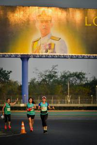 BIB: 0532
                            <button type="button" onclick="openModal(10797772)" class="btn btn-primary btn-sm float-right btn-popup" data-toggle="modal" data-target=".modal-high-quality">
                        <i class="fas fa-shopping-cart"></i> Add to Cart
                    </button>
                                            <button type="button" onclick="isThisMe(10797772, true)" class="btn btn-success btn-sm float-right btn-popup btn-isme hidden" data-toggle="tooltip" data-placement="bottom" title="นี่คือรูปของคุณใช่ไหม คลิกที่นี่เพื่อเอาเข้าอัลบั้ม">
                        <i class="fas fa-plus"></i> Add to album
                    </button>
                    <button type="button" onclick="isThisMe(10797772, false)" class="btn btn-warning btn-sm float-right btn-popup btn-isnotme hidden">
                        <i class="fas fa-ban"></i> Remove from album
                    </button>