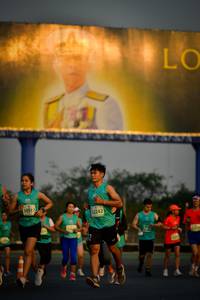 BIB: 50917, 2242
                            <button type="button" onclick="openModal(10800017)" class="btn btn-primary btn-sm float-right btn-popup" data-toggle="modal" data-target=".modal-high-quality">
                        <i class="fas fa-shopping-cart"></i> Add to Cart
                    </button>
                                            <button type="button" onclick="isThisMe(10800017, true)" class="btn btn-success btn-sm float-right btn-popup btn-isme hidden" data-toggle="tooltip" data-placement="bottom" title="นี่คือรูปของคุณใช่ไหม คลิกที่นี่เพื่อเอาเข้าอัลบั้ม">
                        <i class="fas fa-plus"></i> Add to album
                    </button>
                    <button type="button" onclick="isThisMe(10800017, false)" class="btn btn-warning btn-sm float-right btn-popup btn-isnotme hidden">
                        <i class="fas fa-ban"></i> Remove from album
                    </button>