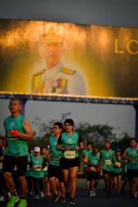 BIB: 50635, 5036
                            <button type="button" onclick="openModal(10802806)" class="btn btn-primary btn-sm float-right btn-popup" data-toggle="modal" data-target=".modal-high-quality">
                        <i class="fas fa-shopping-cart"></i> Add to Cart
                    </button>
                                            <button type="button" onclick="isThisMe(10802806, true)" class="btn btn-success btn-sm float-right btn-popup btn-isme hidden" data-toggle="tooltip" data-placement="bottom" title="นี่คือรูปของคุณใช่ไหม คลิกที่นี่เพื่อเอาเข้าอัลบั้ม">
                        <i class="fas fa-plus"></i> Add to album
                    </button>
                    <button type="button" onclick="isThisMe(10802806, false)" class="btn btn-warning btn-sm float-right btn-popup btn-isnotme hidden">
                        <i class="fas fa-ban"></i> Remove from album
                    </button>