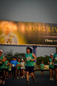 BIB: 52777
                            <button type="button" onclick="openModal(10808040)" class="btn btn-primary btn-sm float-right btn-popup" data-toggle="modal" data-target=".modal-high-quality">
                        <i class="fas fa-shopping-cart"></i> Add to Cart
                    </button>
                                            <button type="button" onclick="isThisMe(10808040, true)" class="btn btn-success btn-sm float-right btn-popup btn-isme hidden" data-toggle="tooltip" data-placement="bottom" title="นี่คือรูปของคุณใช่ไหม คลิกที่นี่เพื่อเอาเข้าอัลบั้ม">
                        <i class="fas fa-plus"></i> Add to album
                    </button>
                    <button type="button" onclick="isThisMe(10808040, false)" class="btn btn-warning btn-sm float-right btn-popup btn-isnotme hidden">
                        <i class="fas fa-ban"></i> Remove from album
                    </button>