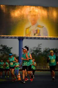 BIB: 8334, 015
                            <button type="button" onclick="openModal(10801020)" class="btn btn-primary btn-sm float-right btn-popup" data-toggle="modal" data-target=".modal-high-quality">
                        <i class="fas fa-shopping-cart"></i> Add to Cart
                    </button>
                                            <button type="button" onclick="isThisMe(10801020, true)" class="btn btn-success btn-sm float-right btn-popup btn-isme hidden" data-toggle="tooltip" data-placement="bottom" title="นี่คือรูปของคุณใช่ไหม คลิกที่นี่เพื่อเอาเข้าอัลบั้ม">
                        <i class="fas fa-plus"></i> Add to album
                    </button>
                    <button type="button" onclick="isThisMe(10801020, false)" class="btn btn-warning btn-sm float-right btn-popup btn-isnotme hidden">
                        <i class="fas fa-ban"></i> Remove from album
                    </button>