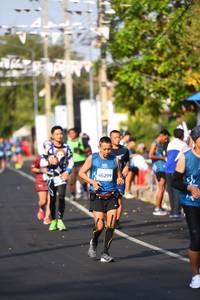 BIB: 42195
                            <button type="button" onclick="openModal(10461336)" class="btn btn-primary btn-sm float-right btn-popup" data-toggle="modal" data-target=".modal-high-quality">
                        <i class="fas fa-shopping-cart"></i> Add to Cart
                    </button>
                                            <button type="button" onclick="isThisMe(10461336, true)" class="btn btn-success btn-sm float-right btn-popup btn-isme hidden" data-toggle="tooltip" data-placement="bottom" title="นี่คือรูปของคุณใช่ไหม คลิกที่นี่เพื่อเอาเข้าอัลบั้ม">
                        <i class="fas fa-plus"></i> Add to album
                    </button>
                    <button type="button" onclick="isThisMe(10461336, false)" class="btn btn-warning btn-sm float-right btn-popup btn-isnotme hidden">
                        <i class="fas fa-ban"></i> Remove from album
                    </button>