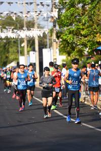 BIB: 42195
                            <button type="button" onclick="openModal(10461578)" class="btn btn-primary btn-sm float-right btn-popup" data-toggle="modal" data-target=".modal-high-quality">
                        <i class="fas fa-shopping-cart"></i> Add to Cart
                    </button>
                                            <button type="button" onclick="isThisMe(10461578, true)" class="btn btn-success btn-sm float-right btn-popup btn-isme hidden" data-toggle="tooltip" data-placement="bottom" title="นี่คือรูปของคุณใช่ไหม คลิกที่นี่เพื่อเอาเข้าอัลบั้ม">
                        <i class="fas fa-plus"></i> Add to album
                    </button>
                    <button type="button" onclick="isThisMe(10461578, false)" class="btn btn-warning btn-sm float-right btn-popup btn-isnotme hidden">
                        <i class="fas fa-ban"></i> Remove from album
                    </button>