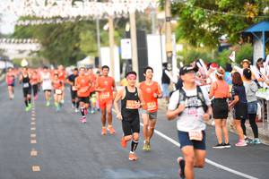 BIB: 2036, 263
                            <button type="button" onclick="openModal(12518793)" class="btn btn-primary btn-sm float-right btn-popup" data-toggle="modal" data-target=".modal-high-quality">
                        <i class="fas fa-shopping-cart"></i> Add to Cart
                    </button>
                                            <button type="button" onclick="isThisMe(12518793, true)" class="btn btn-success btn-sm float-right btn-popup btn-isme hidden" data-toggle="tooltip" data-placement="bottom" title="นี่คือรูปของคุณใช่ไหม คลิกที่นี่เพื่อเอาเข้าอัลบั้ม">
                        <i class="fas fa-plus"></i> Add to album
                    </button>
                    <button type="button" onclick="isThisMe(12518793, false)" class="btn btn-warning btn-sm float-right btn-popup btn-isnotme hidden">
                        <i class="fas fa-ban"></i> Remove from album
                    </button>