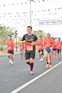 BIB: 206, 21722
                            <button type="button" onclick="openModal(10810437)" class="btn btn-primary btn-sm float-right btn-popup" data-toggle="modal" data-target=".modal-high-quality">
                        <i class="fas fa-shopping-cart"></i> Add to Cart
                    </button>
                                            <button type="button" onclick="isThisMe(10810437, true)" class="btn btn-success btn-sm float-right btn-popup btn-isme hidden" data-toggle="tooltip" data-placement="bottom" title="นี่คือรูปของคุณใช่ไหม คลิกที่นี่เพื่อเอาเข้าอัลบั้ม">
                        <i class="fas fa-plus"></i> Add to album
                    </button>
                    <button type="button" onclick="isThisMe(10810437, false)" class="btn btn-warning btn-sm float-right btn-popup btn-isnotme hidden">
                        <i class="fas fa-ban"></i> Remove from album
                    </button>