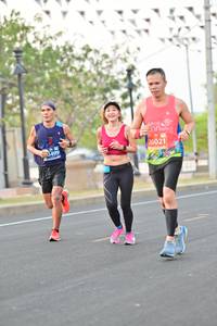 BIB: 0499, 26021
                            <button type="button" onclick="openModal(10790450)" class="btn btn-primary btn-sm float-right btn-popup" data-toggle="modal" data-target=".modal-high-quality">
                        <i class="fas fa-shopping-cart"></i> Add to Cart
                    </button>
                                            <button type="button" onclick="isThisMe(10790450, true)" class="btn btn-success btn-sm float-right btn-popup btn-isme hidden" data-toggle="tooltip" data-placement="bottom" title="นี่คือรูปของคุณใช่ไหม คลิกที่นี่เพื่อเอาเข้าอัลบั้ม">
                        <i class="fas fa-plus"></i> Add to album
                    </button>
                    <button type="button" onclick="isThisMe(10790450, false)" class="btn btn-warning btn-sm float-right btn-popup btn-isnotme hidden">
                        <i class="fas fa-ban"></i> Remove from album
                    </button>