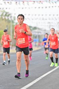 BIB: 26659
                            <button type="button" onclick="openModal(10839174)" class="btn btn-primary btn-sm float-right btn-popup" data-toggle="modal" data-target=".modal-high-quality">
                        <i class="fas fa-shopping-cart"></i> Add to Cart
                    </button>
                                            <button type="button" onclick="isThisMe(10839174, true)" class="btn btn-success btn-sm float-right btn-popup btn-isme hidden" data-toggle="tooltip" data-placement="bottom" title="นี่คือรูปของคุณใช่ไหม คลิกที่นี่เพื่อเอาเข้าอัลบั้ม">
                        <i class="fas fa-plus"></i> Add to album
                    </button>
                    <button type="button" onclick="isThisMe(10839174, false)" class="btn btn-warning btn-sm float-right btn-popup btn-isnotme hidden">
                        <i class="fas fa-ban"></i> Remove from album
                    </button>