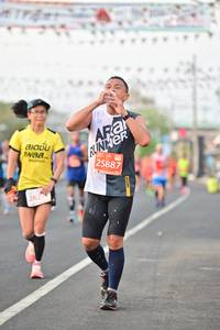 BIB: 25887, 282
                            <button type="button" onclick="openModal(10890910)" class="btn btn-primary btn-sm float-right btn-popup" data-toggle="modal" data-target=".modal-high-quality">
                        <i class="fas fa-shopping-cart"></i> Add to Cart
                    </button>
                                            <button type="button" onclick="isThisMe(10890910, true)" class="btn btn-success btn-sm float-right btn-popup btn-isme hidden" data-toggle="tooltip" data-placement="bottom" title="นี่คือรูปของคุณใช่ไหม คลิกที่นี่เพื่อเอาเข้าอัลบั้ม">
                        <i class="fas fa-plus"></i> Add to album
                    </button>
                    <button type="button" onclick="isThisMe(10890910, false)" class="btn btn-warning btn-sm float-right btn-popup btn-isnotme hidden">
                        <i class="fas fa-ban"></i> Remove from album
                    </button>