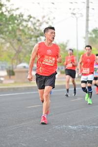 BIB: 26292
                            <button type="button" onclick="openModal(10817121)" class="btn btn-primary btn-sm float-right btn-popup" data-toggle="modal" data-target=".modal-high-quality">
                        <i class="fas fa-shopping-cart"></i> Add to Cart
                    </button>
                                            <button type="button" onclick="isThisMe(10817121, true)" class="btn btn-success btn-sm float-right btn-popup btn-isme hidden" data-toggle="tooltip" data-placement="bottom" title="นี่คือรูปของคุณใช่ไหม คลิกที่นี่เพื่อเอาเข้าอัลบั้ม">
                        <i class="fas fa-plus"></i> Add to album
                    </button>
                    <button type="button" onclick="isThisMe(10817121, false)" class="btn btn-warning btn-sm float-right btn-popup btn-isnotme hidden">
                        <i class="fas fa-ban"></i> Remove from album
                    </button>