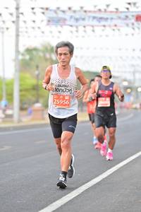 BIB: 25956
                            <button type="button" onclick="openModal(10771784)" class="btn btn-primary btn-sm float-right btn-popup" data-toggle="modal" data-target=".modal-high-quality">
                        <i class="fas fa-shopping-cart"></i> Add to Cart
                    </button>
                                            <button type="button" onclick="isThisMe(10771784, true)" class="btn btn-success btn-sm float-right btn-popup btn-isme hidden" data-toggle="tooltip" data-placement="bottom" title="นี่คือรูปของคุณใช่ไหม คลิกที่นี่เพื่อเอาเข้าอัลบั้ม">
                        <i class="fas fa-plus"></i> Add to album
                    </button>
                    <button type="button" onclick="isThisMe(10771784, false)" class="btn btn-warning btn-sm float-right btn-popup btn-isnotme hidden">
                        <i class="fas fa-ban"></i> Remove from album
                    </button>