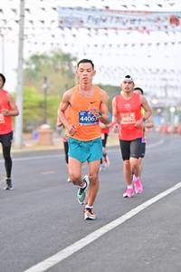 BIB: 44065, 26052
                            <button type="button" onclick="openModal(10769996)" class="btn btn-primary btn-sm float-right btn-popup" data-toggle="modal" data-target=".modal-high-quality">
                        <i class="fas fa-shopping-cart"></i> Add to Cart
                    </button>
                                            <button type="button" onclick="isThisMe(10769996, true)" class="btn btn-success btn-sm float-right btn-popup btn-isme hidden" data-toggle="tooltip" data-placement="bottom" title="นี่คือรูปของคุณใช่ไหม คลิกที่นี่เพื่อเอาเข้าอัลบั้ม">
                        <i class="fas fa-plus"></i> Add to album
                    </button>
                    <button type="button" onclick="isThisMe(10769996, false)" class="btn btn-warning btn-sm float-right btn-popup btn-isnotme hidden">
                        <i class="fas fa-ban"></i> Remove from album
                    </button>