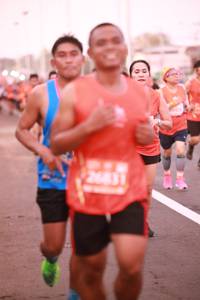 BIB: 26831
                            <button type="button" onclick="openModal(12626630)" class="btn btn-primary btn-sm float-right btn-popup" data-toggle="modal" data-target=".modal-high-quality">
                        <i class="fas fa-shopping-cart"></i> Add to Cart
                    </button>
                                            <button type="button" onclick="isThisMe(12626630, true)" class="btn btn-success btn-sm float-right btn-popup btn-isme hidden" data-toggle="tooltip" data-placement="bottom" title="นี่คือรูปของคุณใช่ไหม คลิกที่นี่เพื่อเอาเข้าอัลบั้ม">
                        <i class="fas fa-plus"></i> Add to album
                    </button>
                    <button type="button" onclick="isThisMe(12626630, false)" class="btn btn-warning btn-sm float-right btn-popup btn-isnotme hidden">
                        <i class="fas fa-ban"></i> Remove from album
                    </button>