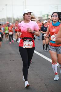 BIB: 295, 29465
                            <button type="button" onclick="openModal(12708314)" class="btn btn-primary btn-sm float-right btn-popup" data-toggle="modal" data-target=".modal-high-quality">
                        <i class="fas fa-shopping-cart"></i> Add to Cart
                    </button>
                                            <button type="button" onclick="isThisMe(12708314, true)" class="btn btn-success btn-sm float-right btn-popup btn-isme hidden" data-toggle="tooltip" data-placement="bottom" title="นี่คือรูปของคุณใช่ไหม คลิกที่นี่เพื่อเอาเข้าอัลบั้ม">
                        <i class="fas fa-plus"></i> Add to album
                    </button>
                    <button type="button" onclick="isThisMe(12708314, false)" class="btn btn-warning btn-sm float-right btn-popup btn-isnotme hidden">
                        <i class="fas fa-ban"></i> Remove from album
                    </button>