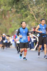BIB: 44506, 45303
                            <button type="button" onclick="openModal(11760883)" class="btn btn-primary btn-sm float-right btn-popup" data-toggle="modal" data-target=".modal-high-quality">
                        <i class="fas fa-shopping-cart"></i> Add to Cart
                    </button>
                                            <button type="button" onclick="isThisMe(11760883, true)" class="btn btn-success btn-sm float-right btn-popup btn-isme hidden" data-toggle="tooltip" data-placement="bottom" title="นี่คือรูปของคุณใช่ไหม คลิกที่นี่เพื่อเอาเข้าอัลบั้ม">
                        <i class="fas fa-plus"></i> Add to album
                    </button>
                    <button type="button" onclick="isThisMe(11760883, false)" class="btn btn-warning btn-sm float-right btn-popup btn-isnotme hidden">
                        <i class="fas fa-ban"></i> Remove from album
                    </button>