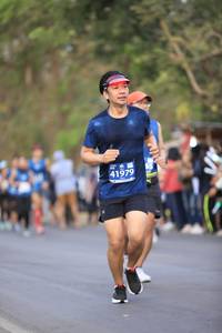 BIB: 41979
                            <button type="button" onclick="openModal(11488296)" class="btn btn-primary btn-sm float-right btn-popup" data-toggle="modal" data-target=".modal-high-quality">
                        <i class="fas fa-shopping-cart"></i> Add to Cart
                    </button>
                                            <button type="button" onclick="isThisMe(11488296, true)" class="btn btn-success btn-sm float-right btn-popup btn-isme hidden" data-toggle="tooltip" data-placement="bottom" title="นี่คือรูปของคุณใช่ไหม คลิกที่นี่เพื่อเอาเข้าอัลบั้ม">
                        <i class="fas fa-plus"></i> Add to album
                    </button>
                    <button type="button" onclick="isThisMe(11488296, false)" class="btn btn-warning btn-sm float-right btn-popup btn-isnotme hidden">
                        <i class="fas fa-ban"></i> Remove from album
                    </button>