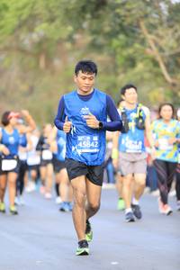 BIB: 45842
                            <button type="button" onclick="openModal(11768099)" class="btn btn-primary btn-sm float-right btn-popup" data-toggle="modal" data-target=".modal-high-quality">
                        <i class="fas fa-shopping-cart"></i> Add to Cart
                    </button>
                                            <button type="button" onclick="isThisMe(11768099, true)" class="btn btn-success btn-sm float-right btn-popup btn-isme hidden" data-toggle="tooltip" data-placement="bottom" title="นี่คือรูปของคุณใช่ไหม คลิกที่นี่เพื่อเอาเข้าอัลบั้ม">
                        <i class="fas fa-plus"></i> Add to album
                    </button>
                    <button type="button" onclick="isThisMe(11768099, false)" class="btn btn-warning btn-sm float-right btn-popup btn-isnotme hidden">
                        <i class="fas fa-ban"></i> Remove from album
                    </button>