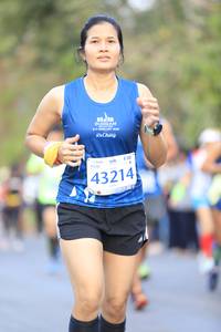 BIB: 43214
                            <button type="button" onclick="openModal(11768494)" class="btn btn-primary btn-sm float-right btn-popup" data-toggle="modal" data-target=".modal-high-quality">
                        <i class="fas fa-shopping-cart"></i> Add to Cart
                    </button>
                                            <button type="button" onclick="isThisMe(11768494, true)" class="btn btn-success btn-sm float-right btn-popup btn-isme hidden" data-toggle="tooltip" data-placement="bottom" title="นี่คือรูปของคุณใช่ไหม คลิกที่นี่เพื่อเอาเข้าอัลบั้ม">
                        <i class="fas fa-plus"></i> Add to album
                    </button>
                    <button type="button" onclick="isThisMe(11768494, false)" class="btn btn-warning btn-sm float-right btn-popup btn-isnotme hidden">
                        <i class="fas fa-ban"></i> Remove from album
                    </button>