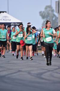 BIB: 50146, 83382, 5319, 83367, 83378
                            <button type="button" onclick="openModal(12214840)" class="btn btn-primary btn-sm float-right btn-popup" data-toggle="modal" data-target=".modal-high-quality">
                        <i class="fas fa-shopping-cart"></i> Add to Cart
                    </button>
                                            <button type="button" onclick="isThisMe(12214840, true)" class="btn btn-success btn-sm float-right btn-popup btn-isme hidden" data-toggle="tooltip" data-placement="bottom" title="นี่คือรูปของคุณใช่ไหม คลิกที่นี่เพื่อเอาเข้าอัลบั้ม">
                        <i class="fas fa-plus"></i> Add to album
                    </button>
                    <button type="button" onclick="isThisMe(12214840, false)" class="btn btn-warning btn-sm float-right btn-popup btn-isnotme hidden">
                        <i class="fas fa-ban"></i> Remove from album
                    </button>